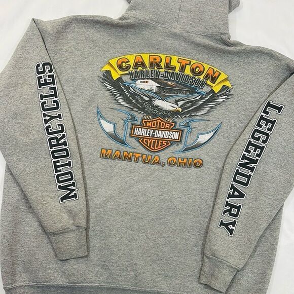 Y2K Harley Davidson Eagle Graphic Hoodie - Picture 8 of 10